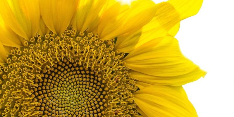 El ITVR presenta su programa de formaci&oacute;n permanente 2022-2023 con claves para reenfocar la vida consagrada