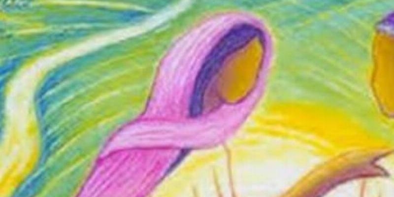 El &aacute;rea de Formaci&oacute;n y Espiritualidad de Confer celebra una jornada sobre la exhortaci&oacute;n apost&oacute;lica Gaudete et Exsultate