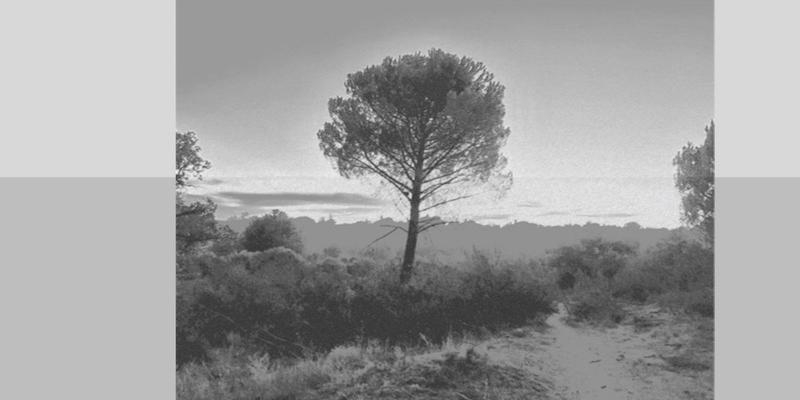 Pablo d&rsquo;Ors imparte en San Ignacio de Loyola de Torrelodones una ponencia titulada 'El camino meditativo'