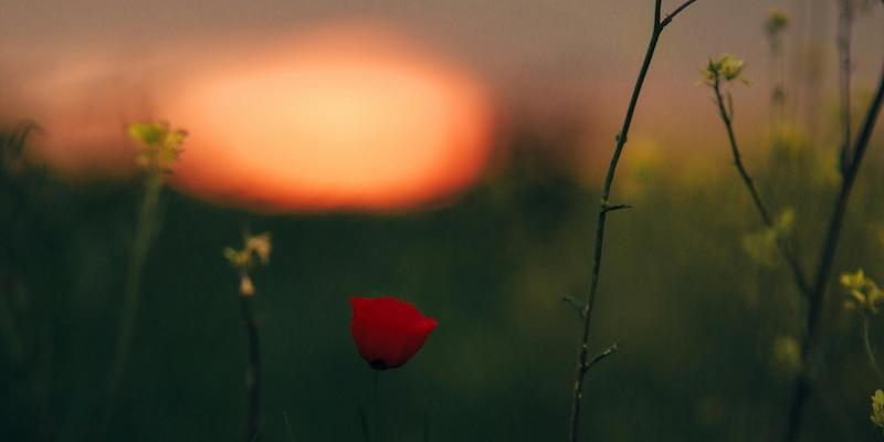 Los equipos de Cáritas Diocesana de Madrid trabajan sobre la realidad y las necesidades del mundo rural