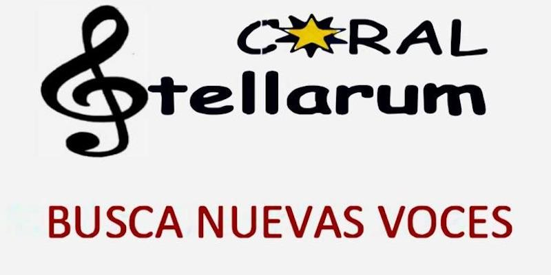 Nuestra Se&ntilde;ora de la Consolaci&oacute;n acoge las audiciones para formar parte de la Coral Stellarum
