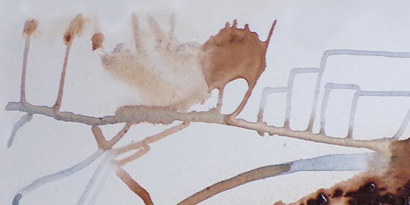 Sant&iacute;simo Redentor acoge el acto de presentaci&oacute;n del libro 'La Biblia de principio a fin'