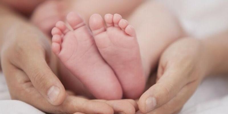 María Inmaculada y Santa Vicenta María organiza una conferencia sobre la gestación por sustitución