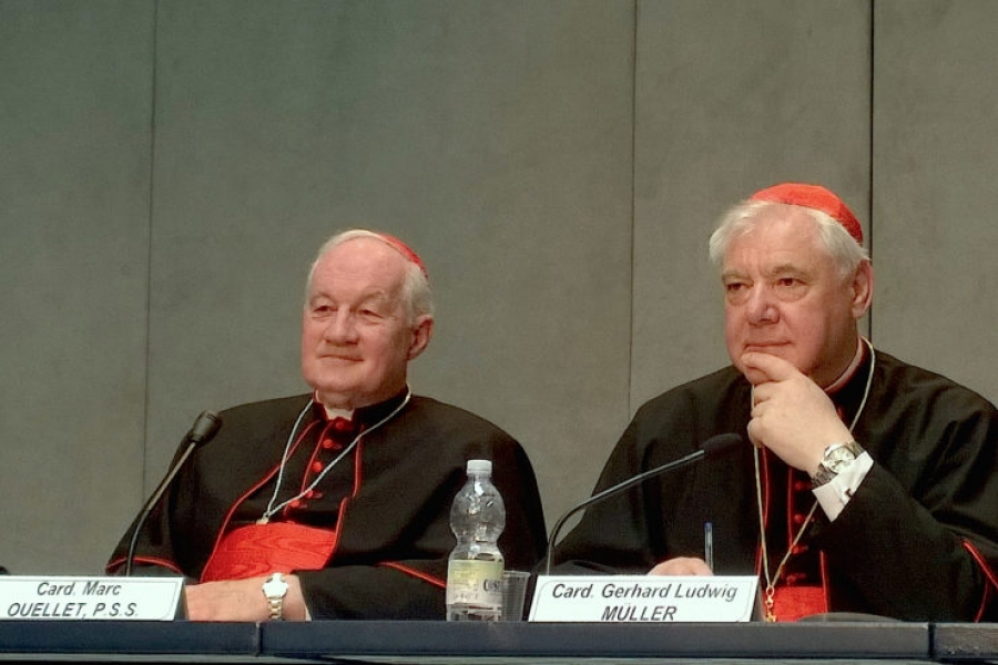 El Vaticano presenta el documento 'Iuvenescit Ecclesia' sobre dones jer&aacute;rquicos y carismas