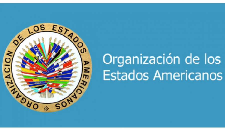 La Santa Sede y el Papa precisan su posici&oacute;n sobre Venezuela ante la OEA