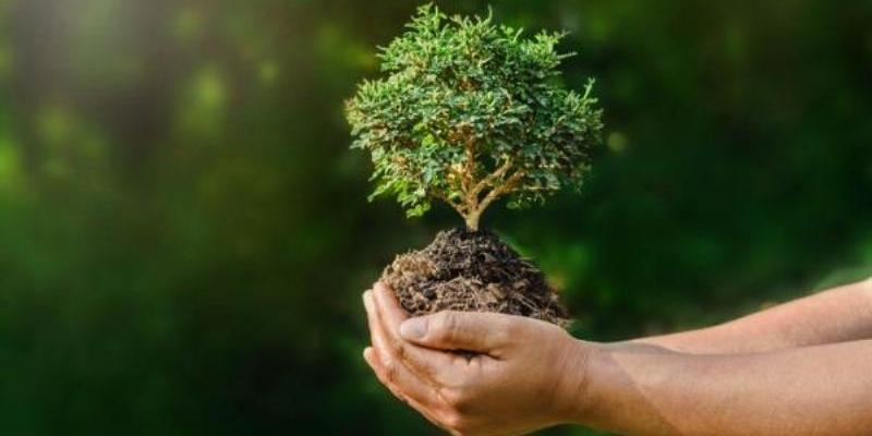 La Casa Cultura y Encuentro de Carabanchel organiza un ciclo de conferencias sobre la ecolog&iacute;a integral