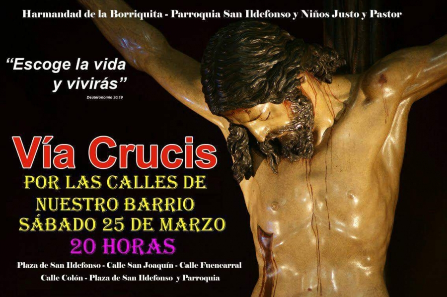 La Hermandad de la Borriquita realiza este s&aacute;bado un via crucis penitencial