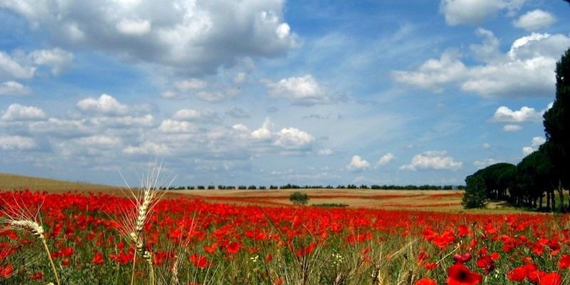 La Coral Nuestra Se&ntilde;ora de las Nieves ofrece su concierto de primavera en Santa In&eacute;s de Villaverde Alto