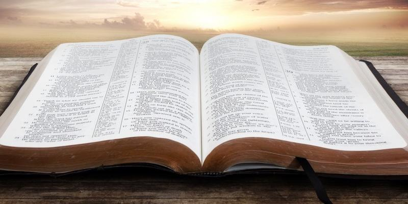 Nuestra Se&ntilde;ora de la Visitaci&oacute;n de Las Rozas programa un curso sobre la Biblia