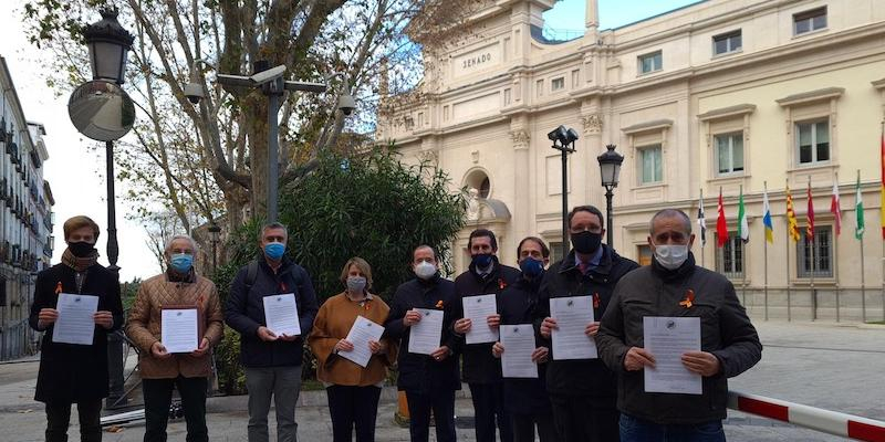 La Plataforma M&aacute;s Plurales entrega en el Senado sus enmiendas a la ley Cela&aacute;