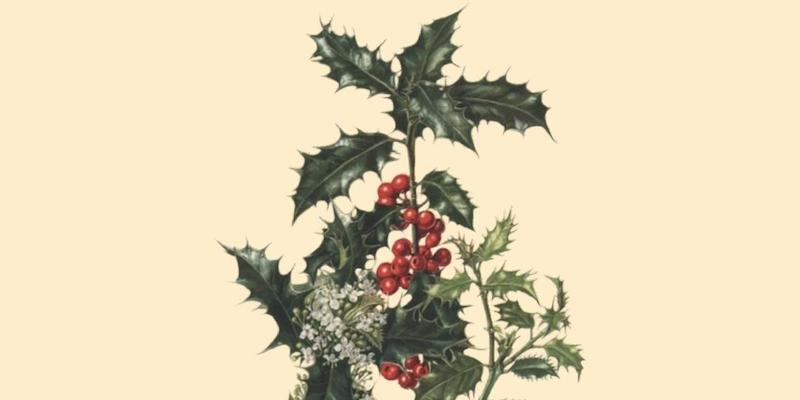 Exultet Orbis ofrece en la ermita de la Virgen del Puerto el concierto 'Una Navidad del Renacimiento'