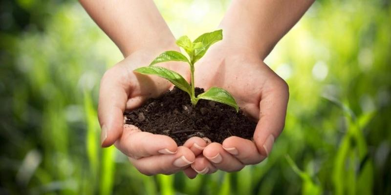 Las Javerianas de Galapagar ayudan a reconciliarse con la tierra a trav&eacute;s de un taller virtual