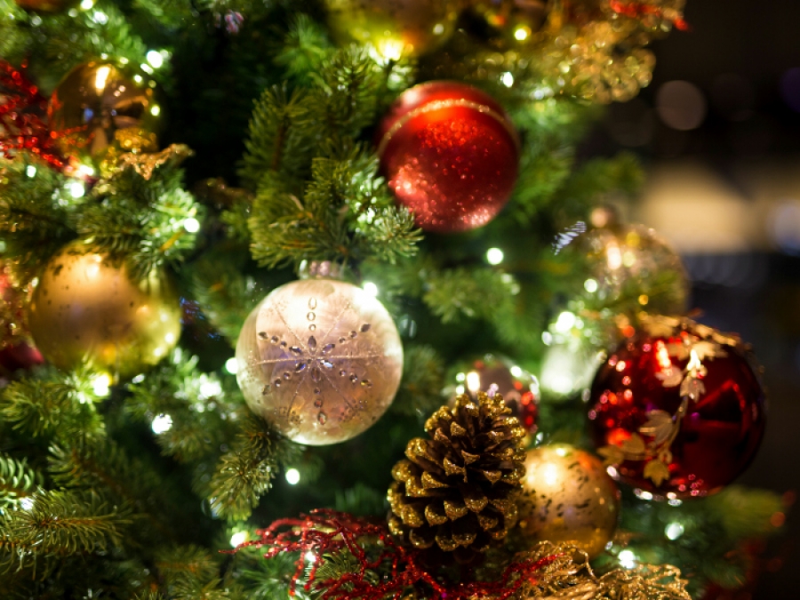 Rito de bendición del árbol de Navidad en familia