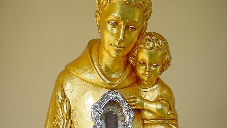 Las reliquias de san Antonio de Padua se pueden venerar en distintas parroquias
