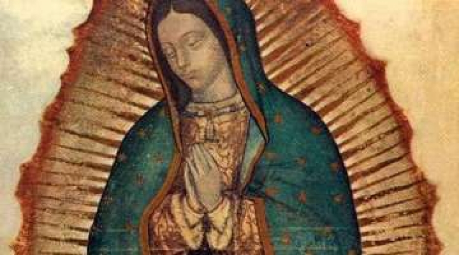 Destruyen imagen de Virgen de Guadalupe en Catedral mexicana