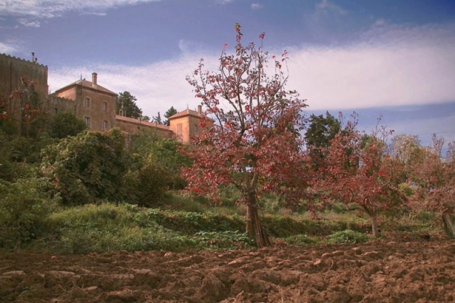 El monasterio de los trapenses asesinados en Algeria abre 20 a&ntilde;os despu&eacute;s