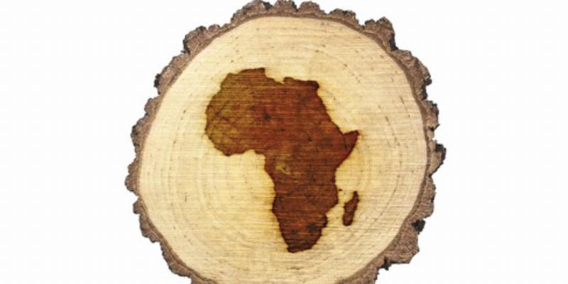 Mundo Negro y los misioneros Combonianos celebran el XXXI Encuentro África con el lema &#039;Ecología en África y en el mundo&#039;