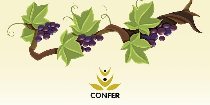 CONFER presenta su programa de actividades para el curso pastoral 2021-2022