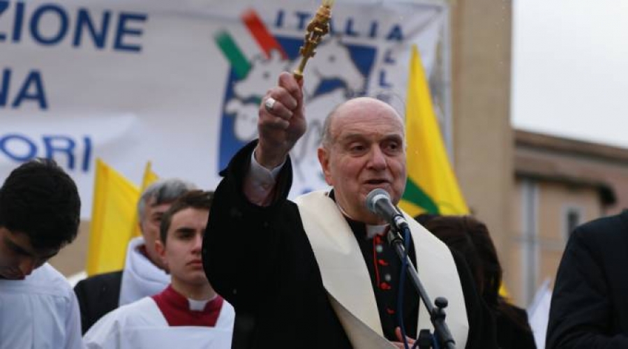Vaticano celebra San Antonio Abad con una &laquo;granja bajo el cielo&raquo;