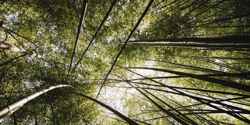 Clase de la Escuela Itinerante de Formaci&oacute;n Social: &lsquo;El ser y el hacer eclesial en la defensa de la Casa Com&uacute;n&rsquo;