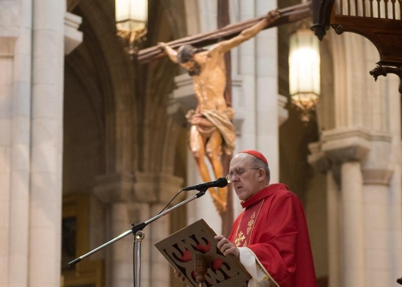 «En Cristo crucificado descubrimos a Dios que se hace solidario del sufrimiento de todos los seres humanos»