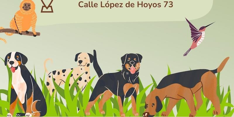 Fiesta de san Antonio Abad en Sagrado Coraz&oacute;n de Jes&uacute;s con bendici&oacute;n de mascotas