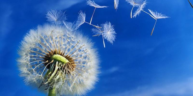 Nuestra Se&ntilde;ora del Buen Suceso acoge el acto de presentaci&oacute;n de los Talleres de Oraci&oacute;n y Vida del padre Larra&ntilde;aga