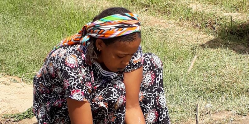 Expertos de C&aacute;ritas de cuatro pa&iacute;ses comparten en Madrid sus experiencias de &eacute;xito para asegurar el derecho a la alimentaci&oacute;n