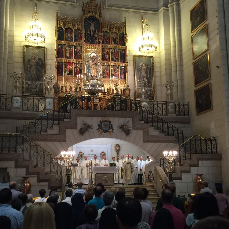 Celebrar, orar y cuidar, tres palabras para la Jornada Mundial de Oraci&oacute;n por el Cuidado de la Creaci&oacute;n
