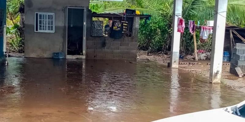 COVIDE-AMVE lanza una alerta para ayudar a los pa&iacute;ses de Am&eacute;rica Central azotados por el hurac&aacute;n 'Eta'