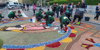 Una rosa blanca como la que le llevan los niños a la Virgen será el motivo central de la alfombra de flores en la procesión de la Almudena
