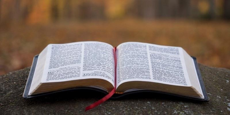 La Sociedad de San Pablo celebra una jornada formativa en el mes de la Biblia