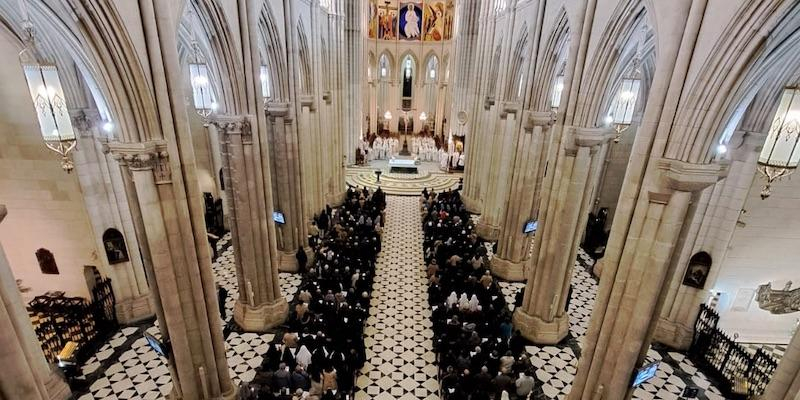 &laquo;Est&aacute;is llamados a dar testimonio de que merece la pena fiarse de Cristo y de la Iglesia&raquo;