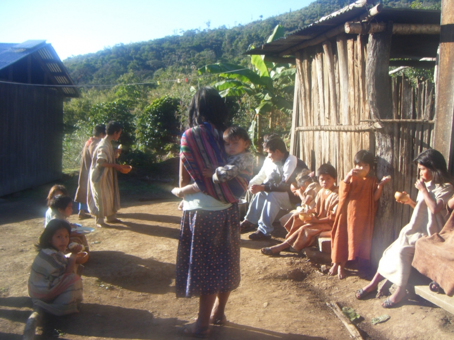 Descubre Asfixia, el espect&aacute;culo de magia de Selvas Amaz&oacute;nicas