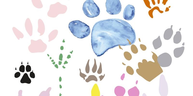 San Juan XXIII bendecir&aacute; mascotas en el d&iacute;a de san Antonio Abad