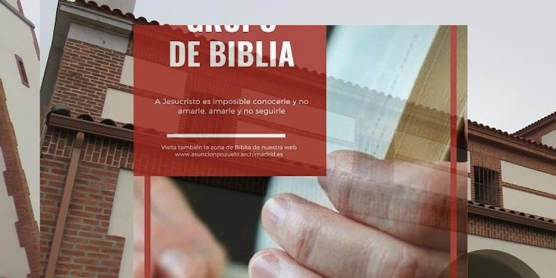 El Libro de Isa&iacute;as centra las sesiones de la Escuela de Biblia de Asunci&oacute;n de Nuestra Se&ntilde;ora de Pozuelo