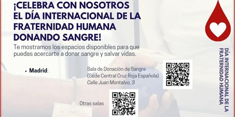Arco Forum invita a celebrar el D&iacute;a Internacional de la Fraternidad Humana donando sangre