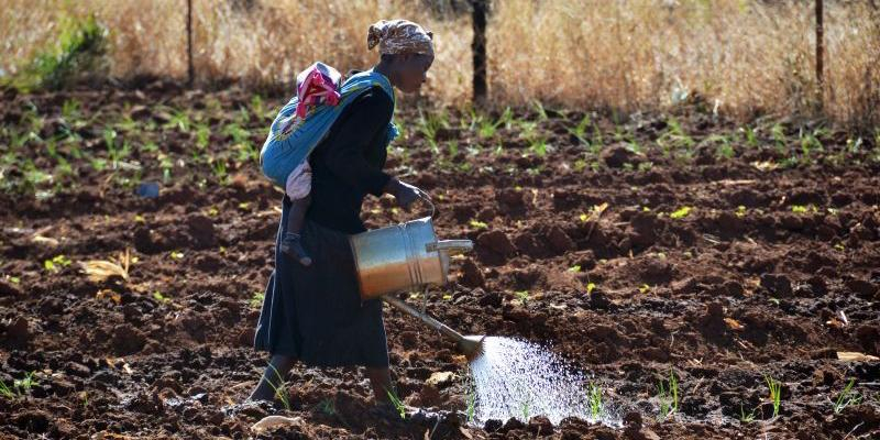 Nuestra Se&ntilde;ora de la Monta&ntilde;a se suma a la campa&ntilde;a contra el hambre de Manos Unidas