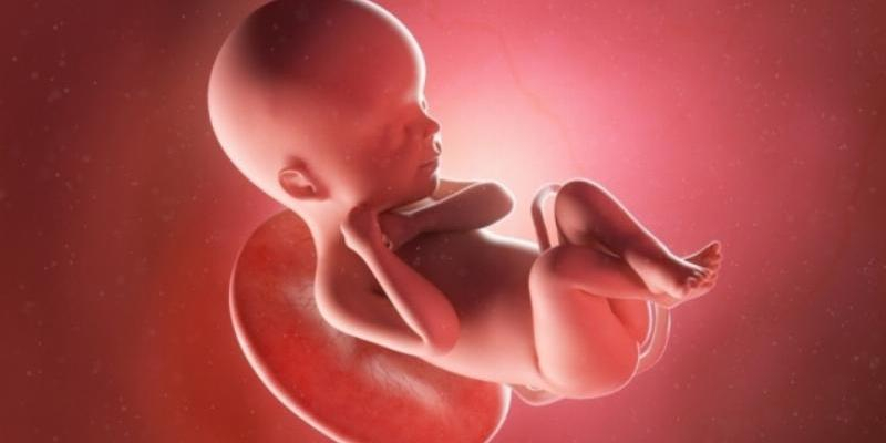 El arciprestazgo de Lozoya-Buitrago realiza en Cuaresma una campa&ntilde;a de oraci&oacute;n por la vida y el fin del aborto