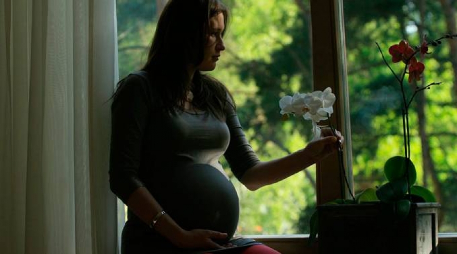 Instituciones cat&oacute;licas defienden la vida y rechazan proyecto del aborto en Bolivia