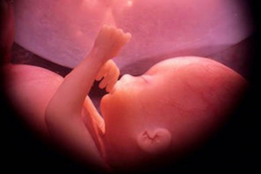 'D&iacute;a del ni&ntilde;o por nacer': obispos en Am&eacute;rica Latina exhortan a defender la vida