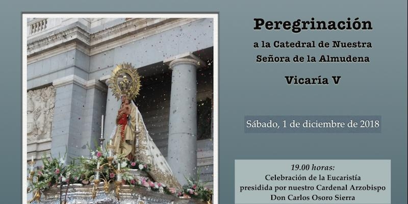 La Vicaría V peregrina a la catedral de la Almudena en el Año Jubilar Mariano