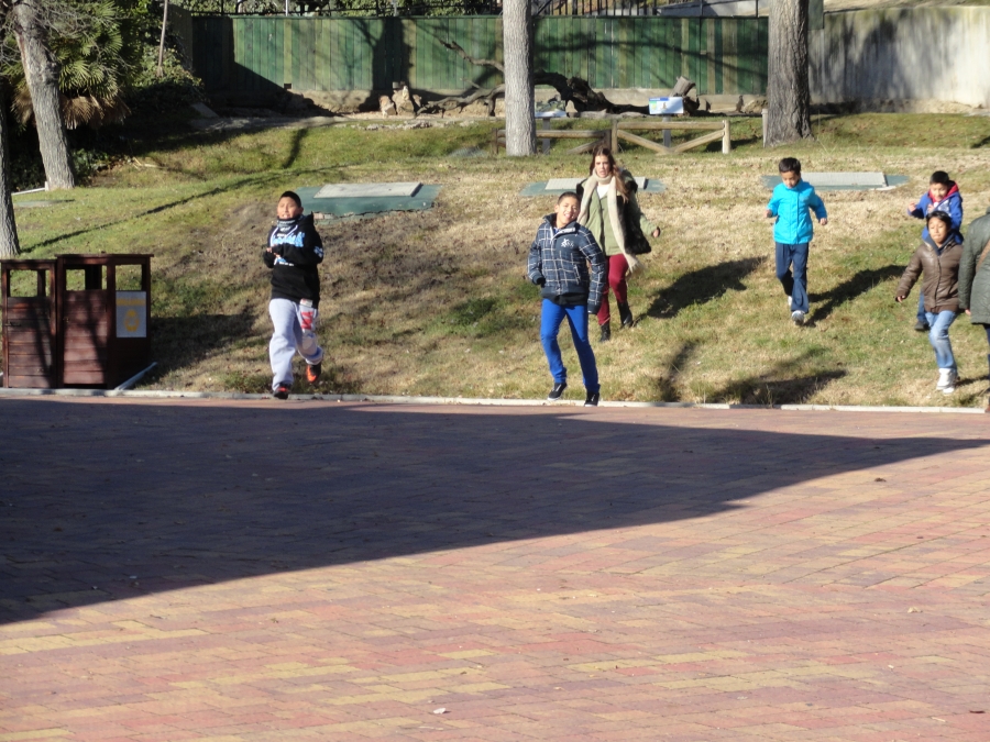 Actividades deportivas en el Centro Residencial &lsquo;JMJ 2011&rsquo;