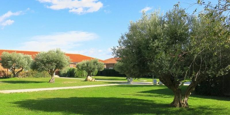 Miembros de la Fraternidad Misionera Verbum Dei de todo el mundo reflexionan en Loeches sobre su carisma misionero