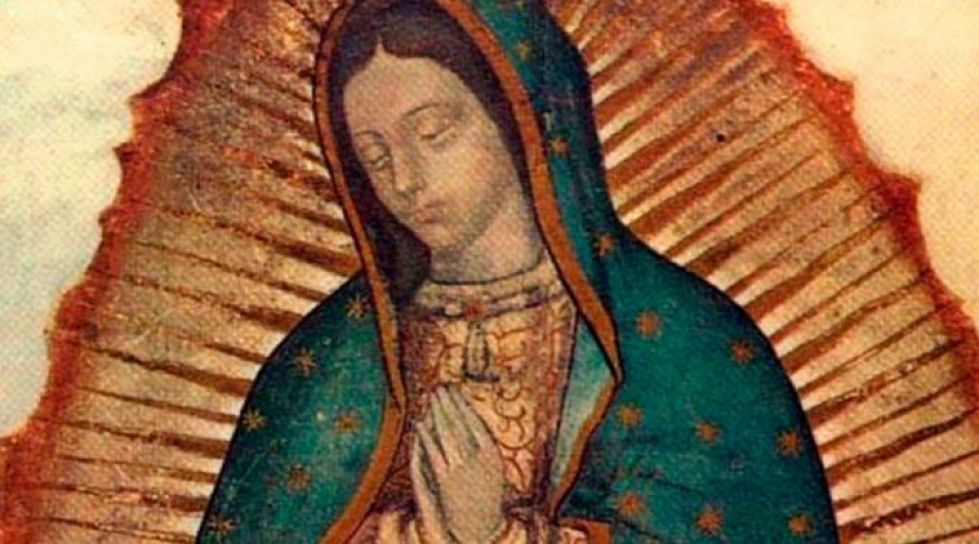 Santa Mar&iacute;a de Guadalupe es luz y gu&iacute;a en la tormenta, asegura cardenal mexicano