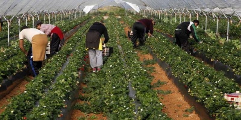 C&aacute;ritas presenta un informe sobre vulneraci&oacute;n de derechos en temporerismo agr&iacute;cola, hosteler&iacute;a y empleos del hogar
