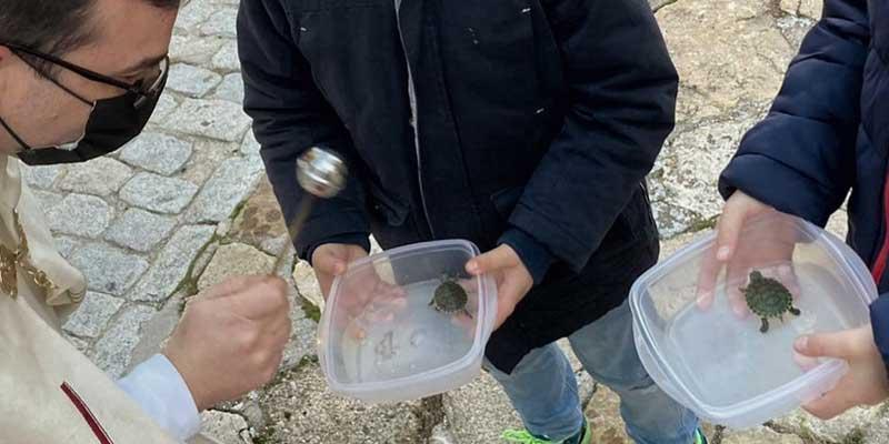 Numerosas parroquias celebran san Ant&oacute;n con la bendici&oacute;n de las mascotas, que son &laquo;un signo de la ternura de Dios&raquo;