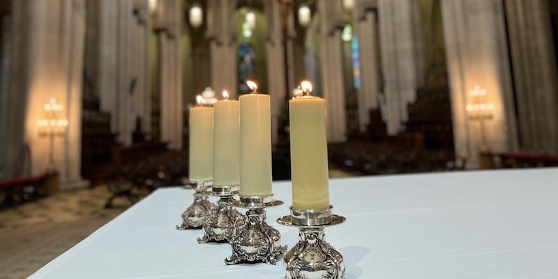 El cardenal Osoro celebra en la catedral una Misa con voluntarios y personal de C&aacute;ritas Diocesana de Madrid