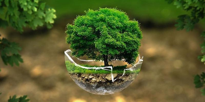 La Universidad Francisco de Vitoria organiza el VI Congreso Razón Abierta sobre &#039;Ecología Integral&#039;