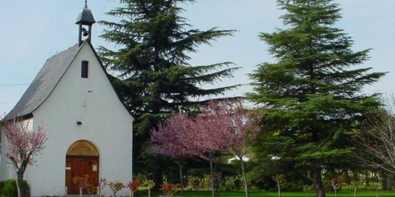 El cardenal Osoro ordena presb&iacute;tero a un di&aacute;cono de la comunidad de los padres de Schoenstatt